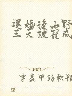 退婚后山野糙汉三天被宠成宝小说封面