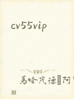 cv55vip封面
