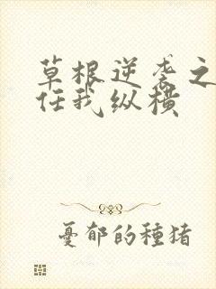 草根逆袭之都市任我纵横