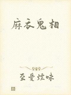 麻衣鬼相封面