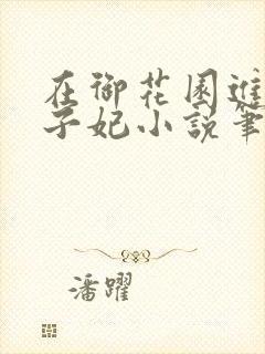 在御花园进入太子妃小说笔趣阁封面
