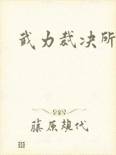 武力裁决所
