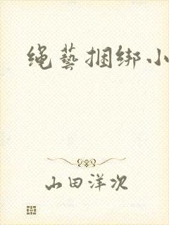 绳艺捆绑小说