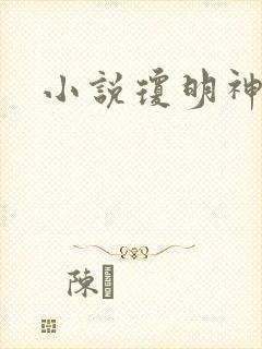 小说琼明神女录封面
