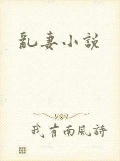 乱妻小说