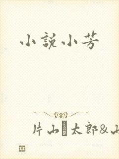 小说小芳