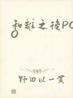 和离之后POPO封面