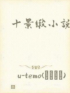 十景缎小说