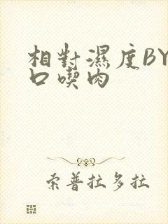 相对湿度BY大口吃肉