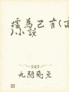 据为己有(高干)小说封面