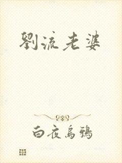 刘流老婆