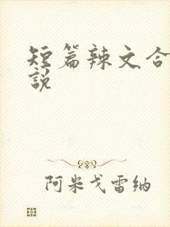 短篇辣文合集小说封面
