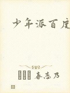 少年派百度百科