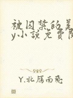 被囚禁的美人by小说免费阅读