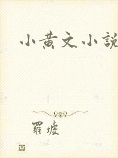 小黄文小说封面