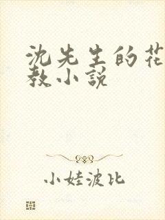 沈先生的花式调教小说