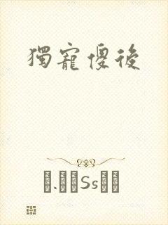 独宠傻后封面