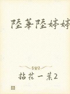 陆华陆婷婷
