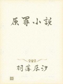 原罪小说