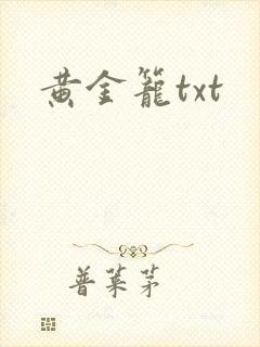 黄金笼txt