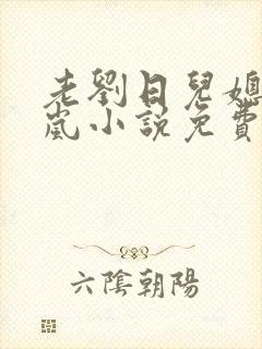 老刘日儿媳妇张岚小说免费阅读