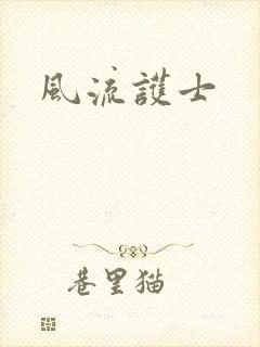 风流护士封面
