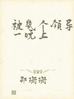 被几个领导玩弄一晚上