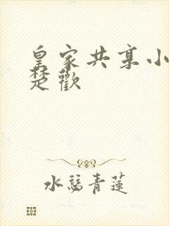 皇家共享小公主楚欢