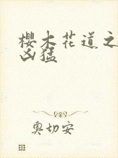 樱木花道之重生凶猛封面