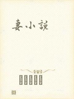 妻小说封面