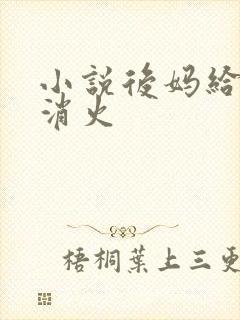 小说后妈给我消消火