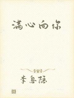 满心向你封面