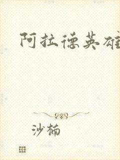 阿拉德英雄传封面