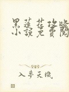 黑莲花攻略手册小说免费阅读