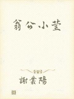 翁公小莹封面