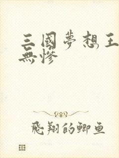 三国梦想王元姬无惨