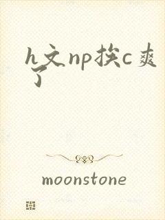 h文np挨c爽了封面