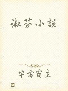 淑芬小说