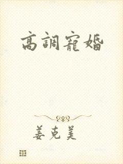 高调宠婚
