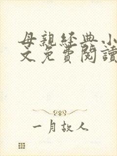 母亲经典小说全文免费阅读封面