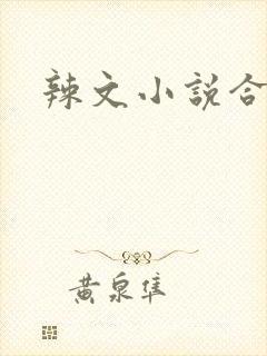 辣文小说合集封面