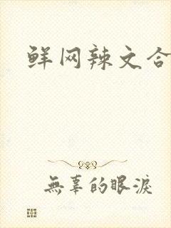 鲜网辣文合集