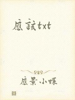 应该txt