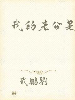 我的老公是冥王封面