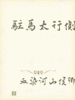 驻马太行侧