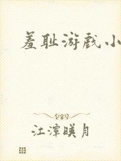 羞耻游戏小说封面