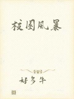 校园风暴