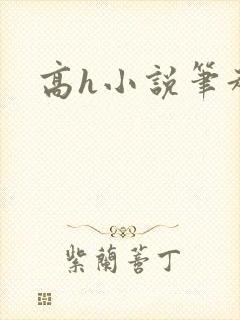 高h小说笔趣阁
