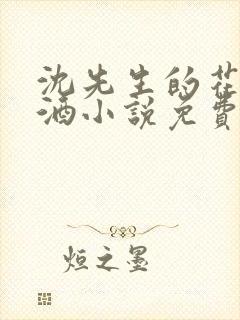 沈先生的花式调酒小说免费阅读