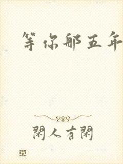 等你那五年